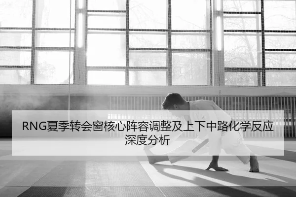 RNG夏季转会窗核心阵容调整及上下中路化学反应深度分析
